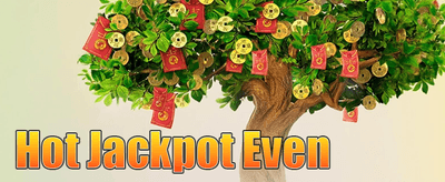 VIP အပတ်စဉ် ငွေပြန်အမ်းမှု promotion banner